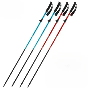 Bâtons de Marche Universels pour Hommes et Femmes