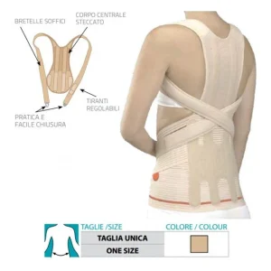 Support arrière Réf. 479 ST